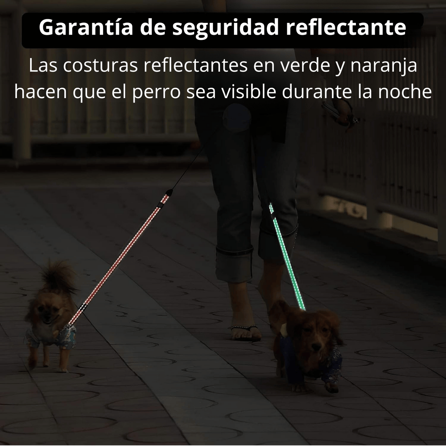 Cuerda De Tracción Para Perros De Doble Extremo